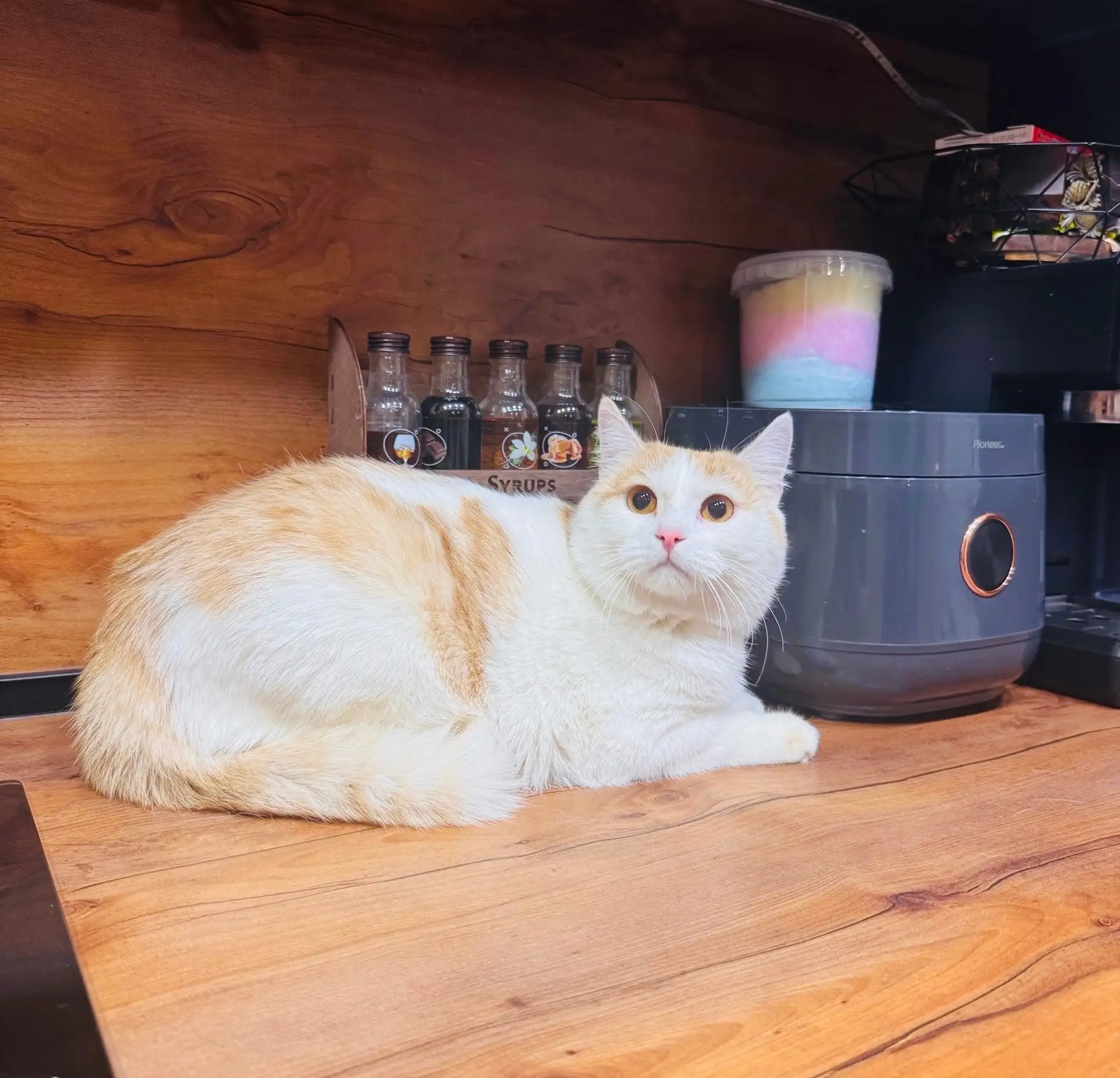 🧡Пашка🧡