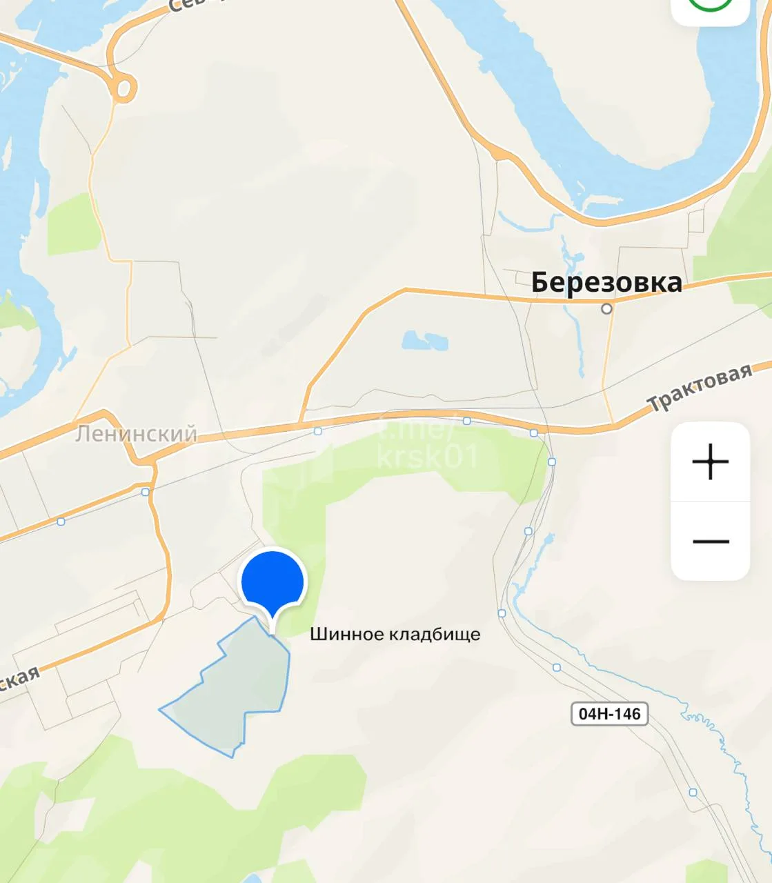 На Шинном кладбище якобы видели медведя.