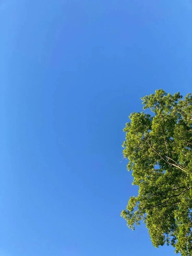 ‼️В Дубне продолжает действовать опасность БПЛА
