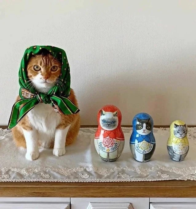 Изображение 1 к публикации «Коська 🐾»