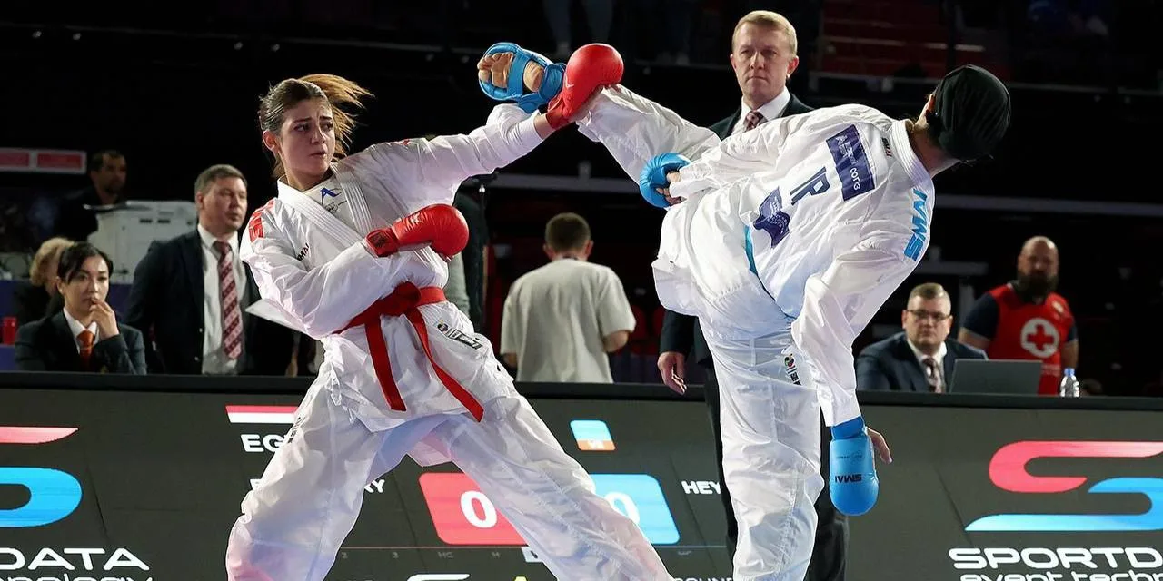 🥋 Фестиваль спортивных единоборств в Лужниках — борьба, карате и рукопашный бой 9 августа

С 12:00 