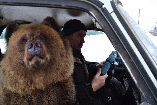 Гдe-тo в Рocсии