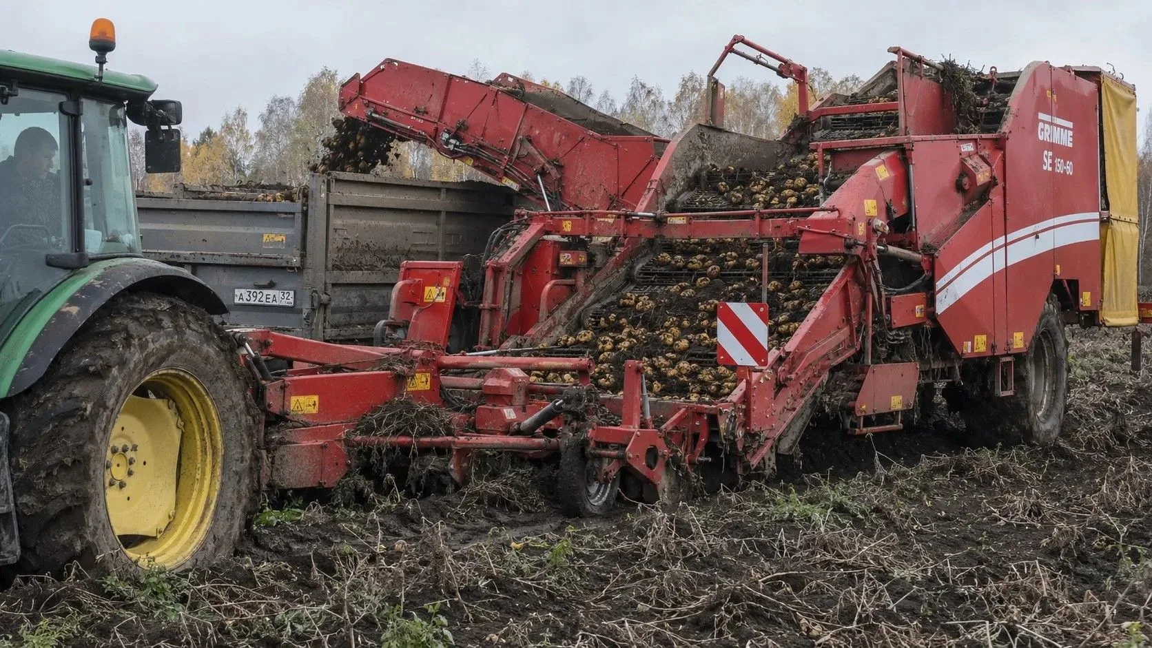 🥔 Брянщина перевыполнила норму самообеспечения картофелем больше чем в два раза
