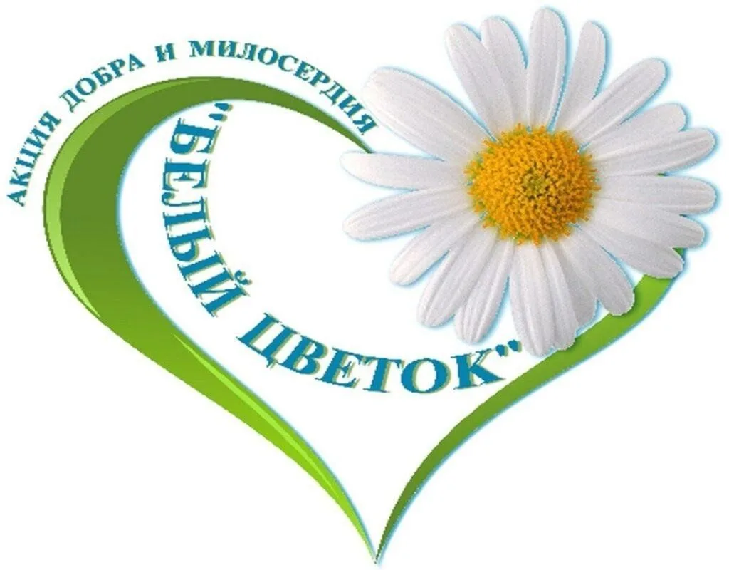 Наша школа приняла участие в празднике милосердия и благотворительности «Белый цветок» в Ливадии! 🌸 