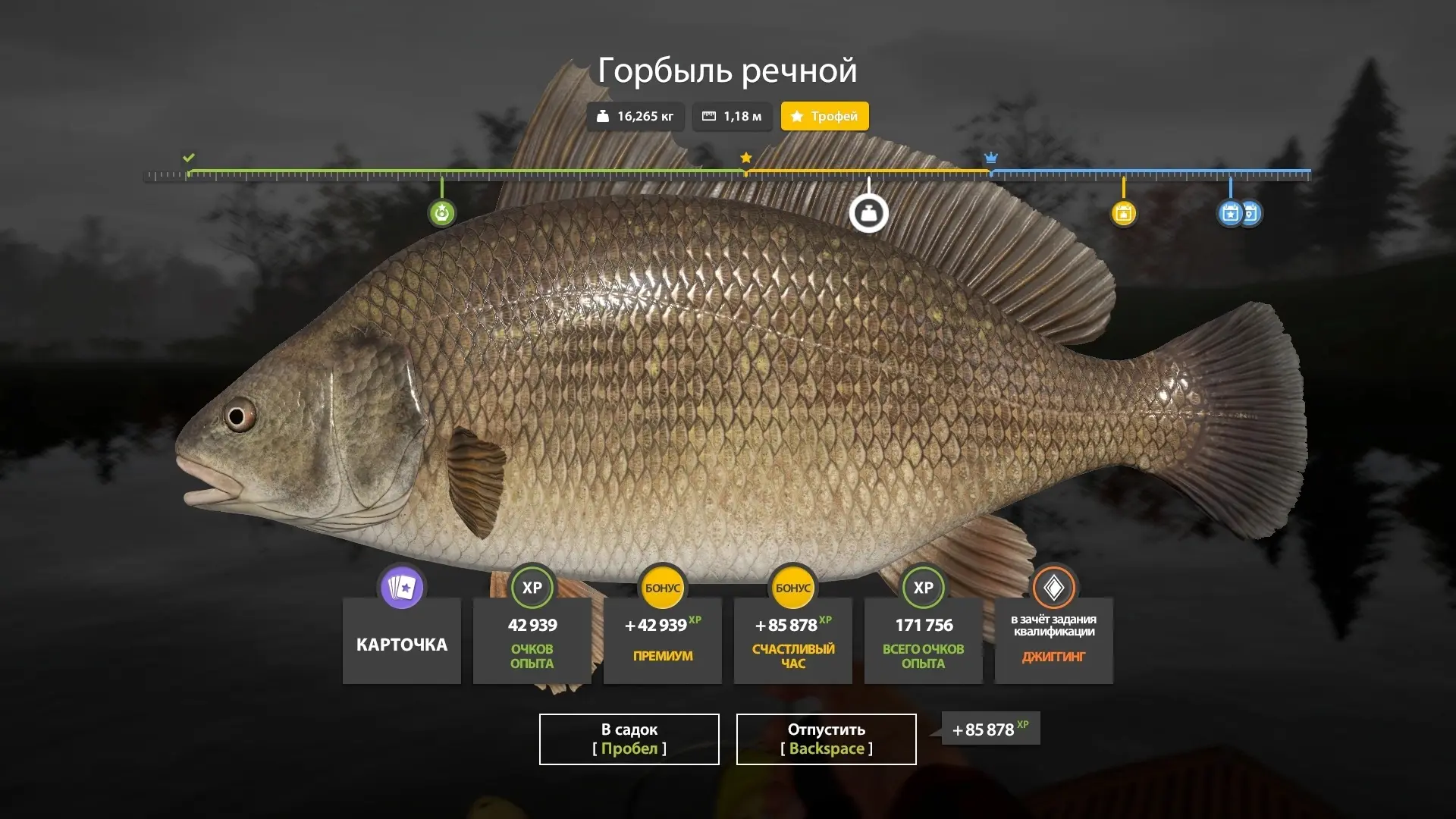 #лосиное@pp4wikipedia