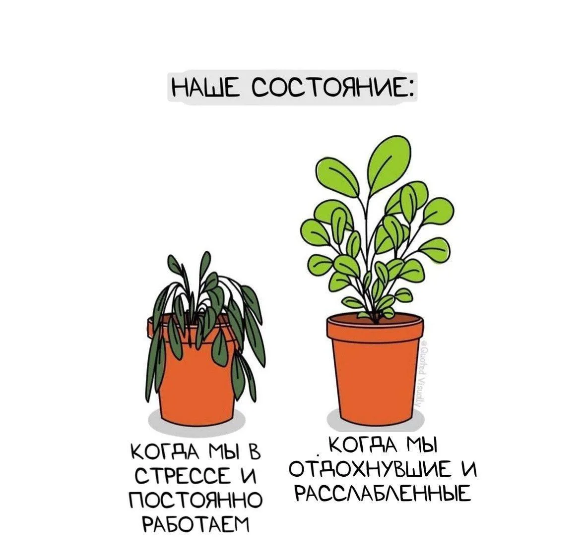 Все в природе устроено единообразно🕊️