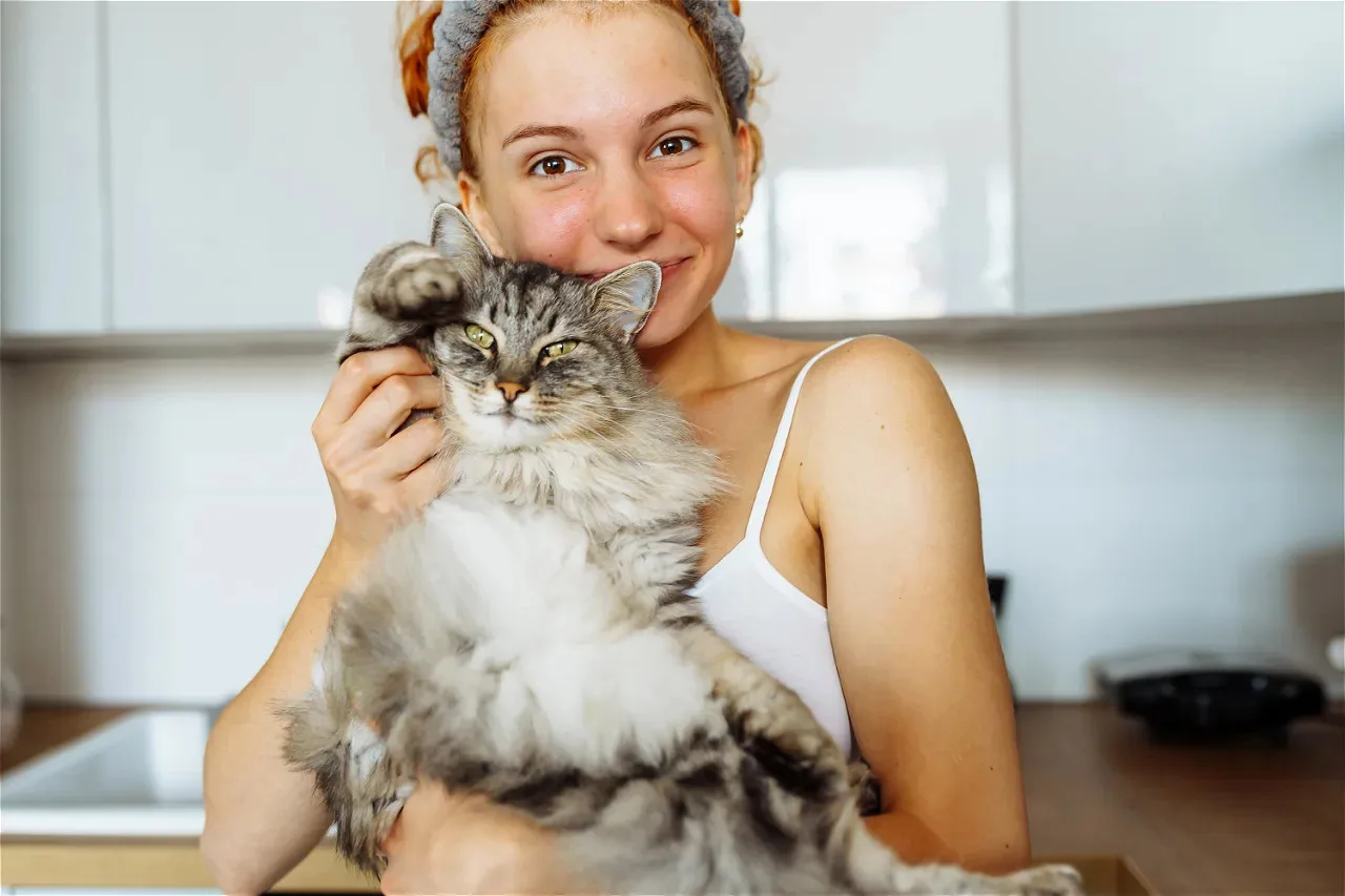8 признаков кошачьего доверия: если кошка делает это рядом с вами, значит, она по-настоящему к вам п