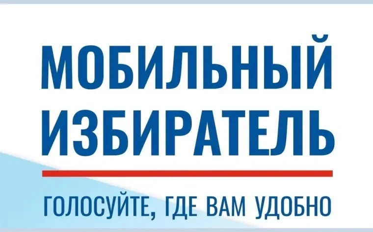 МОБИЛЬНЫЙ ИЗБИРАТЕЛЬ: