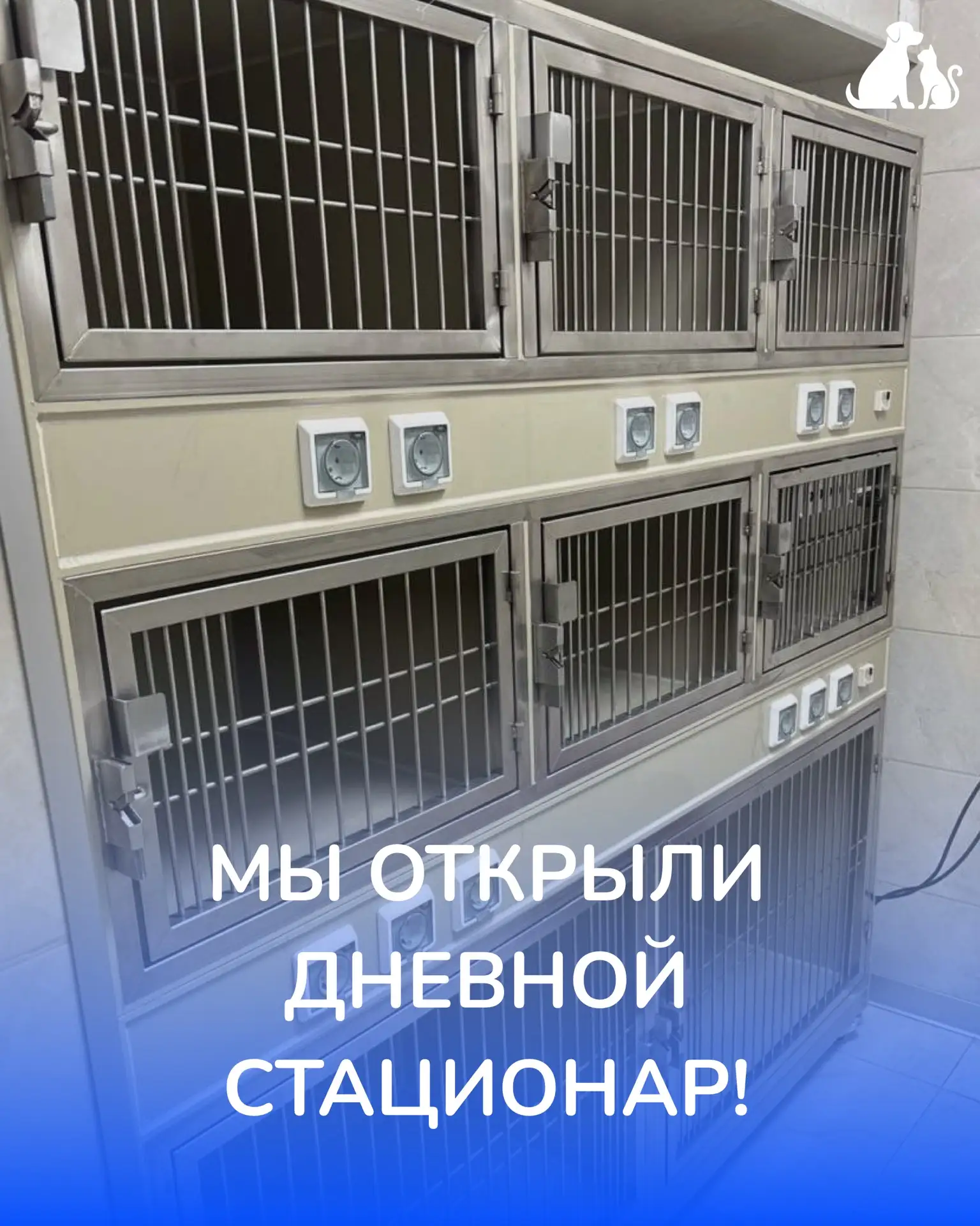🐾 В нашей клинике открылся дневной стационар для животных!