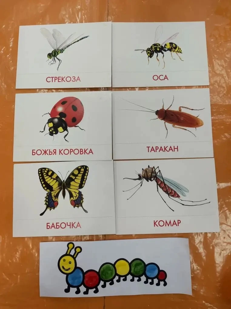 🦋 Маленькие исследователи: знакомство с миром насекомых! 🦋