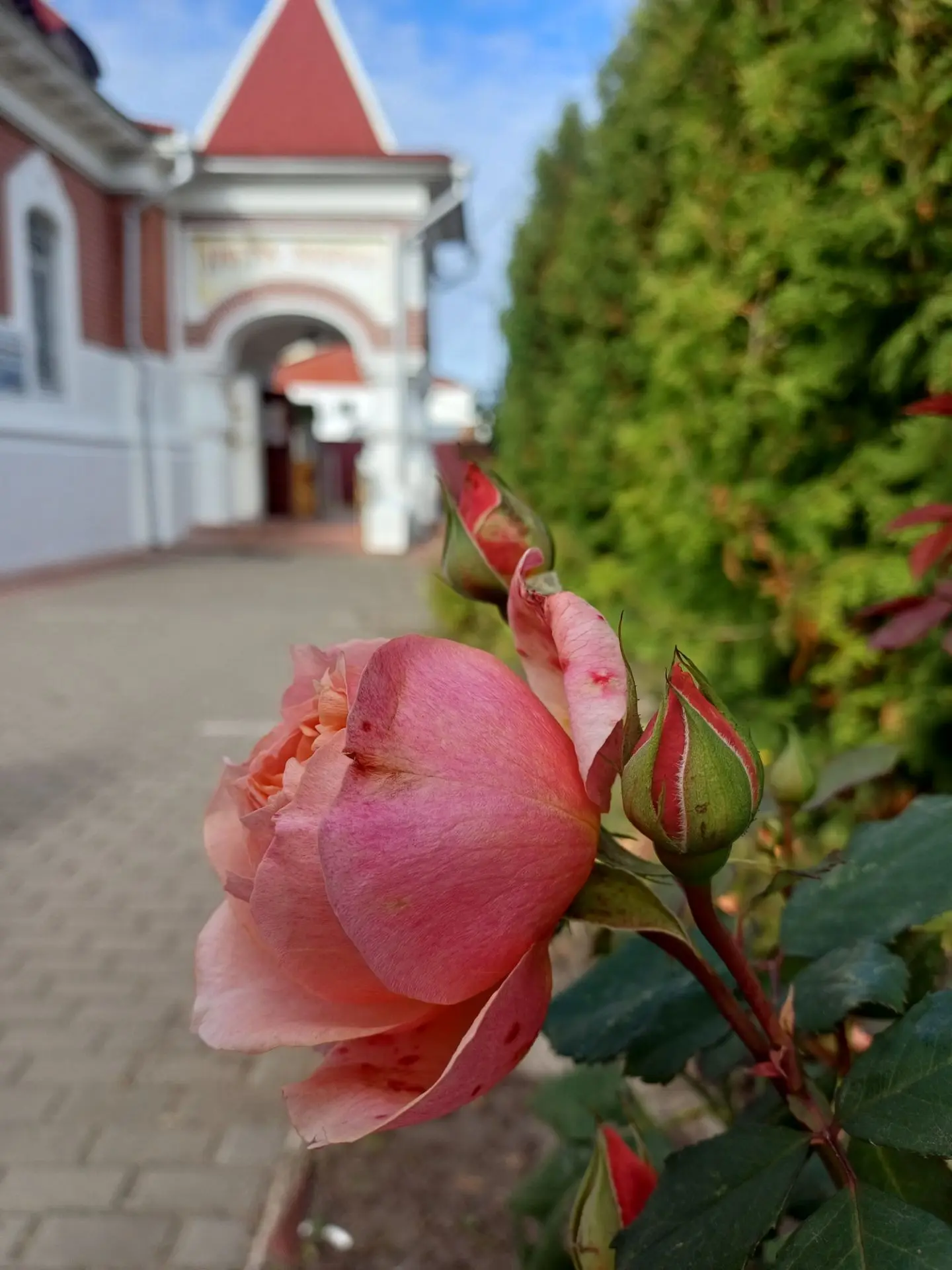 Доброго утра!