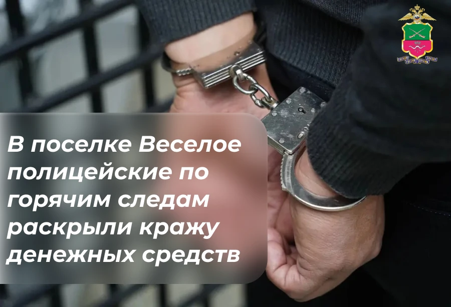 В поселке городского типа Веселое полицейские по горячим следам раскрыли кражу денежных средств

В д