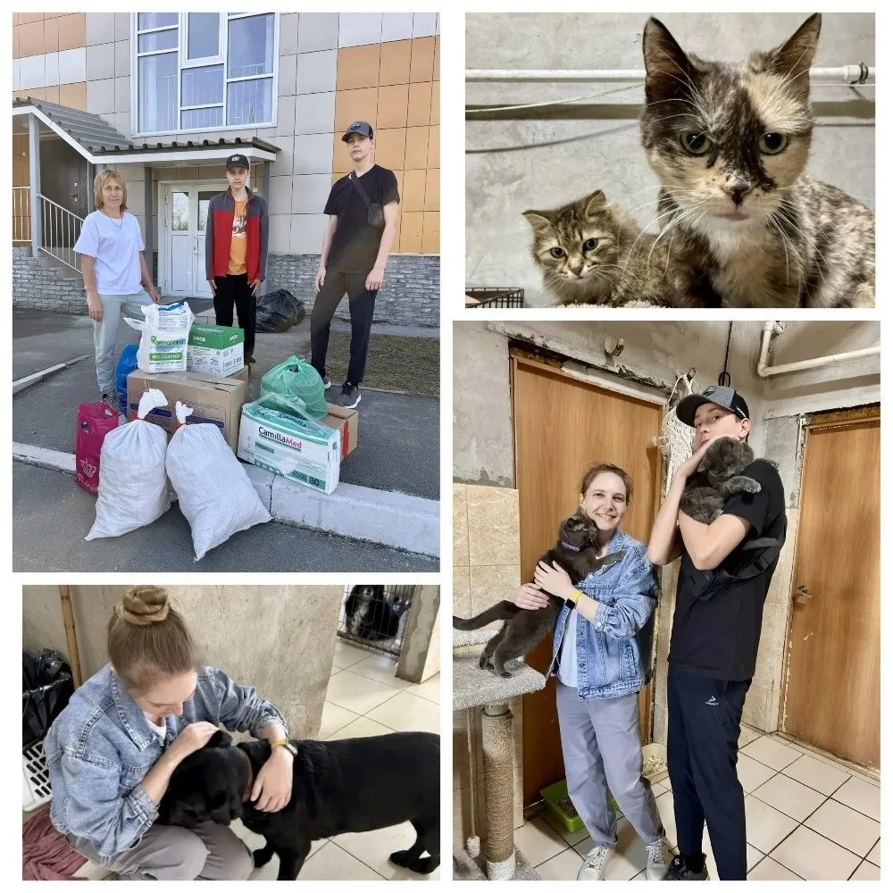 📍Доброе начало мая📍                           🐾  Весь апрель мы вместе собирали помощь для животных 