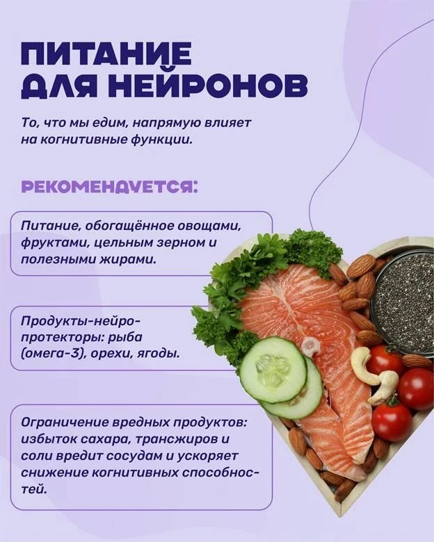 🧠 Неделя сохранения здоровья головного мозга проходит в Приморье