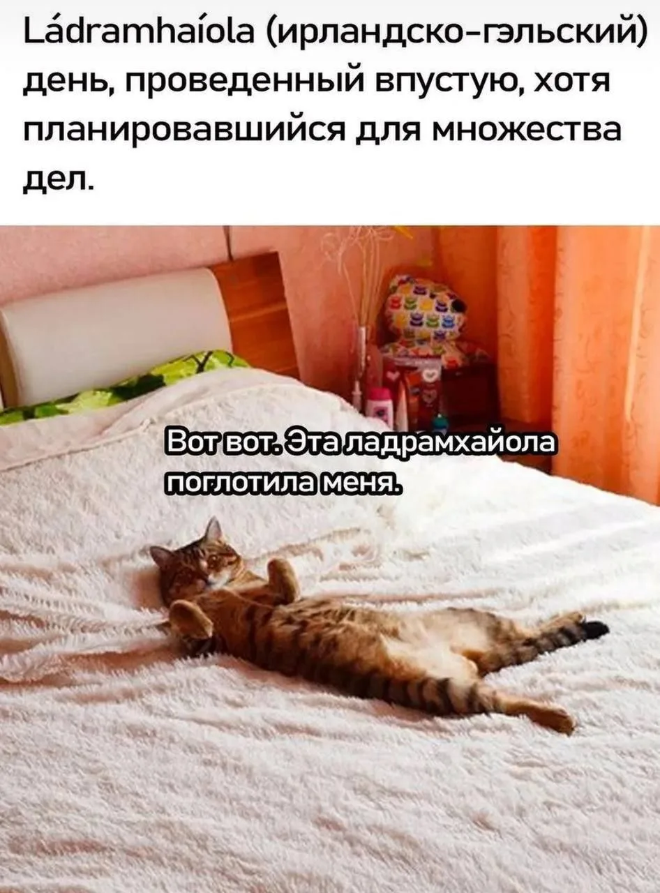 Доброе утро, книголюбы!