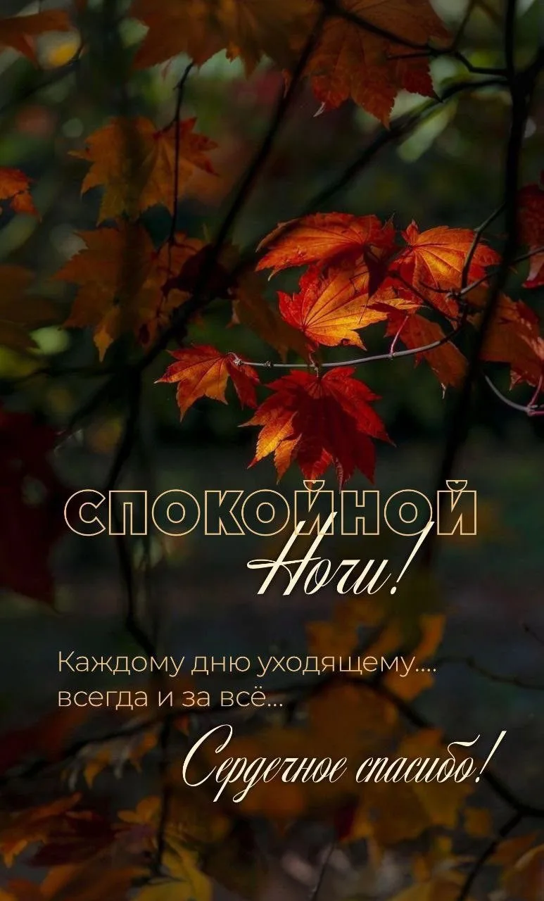 🎁Поздравления и открытки