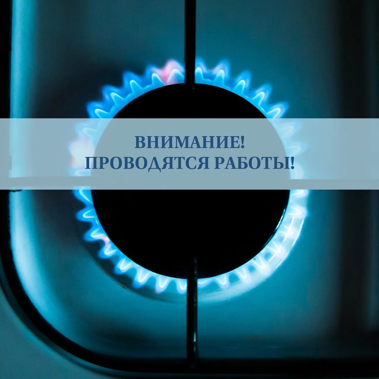 1 августа с 10:00 по 17:00 по адресу: