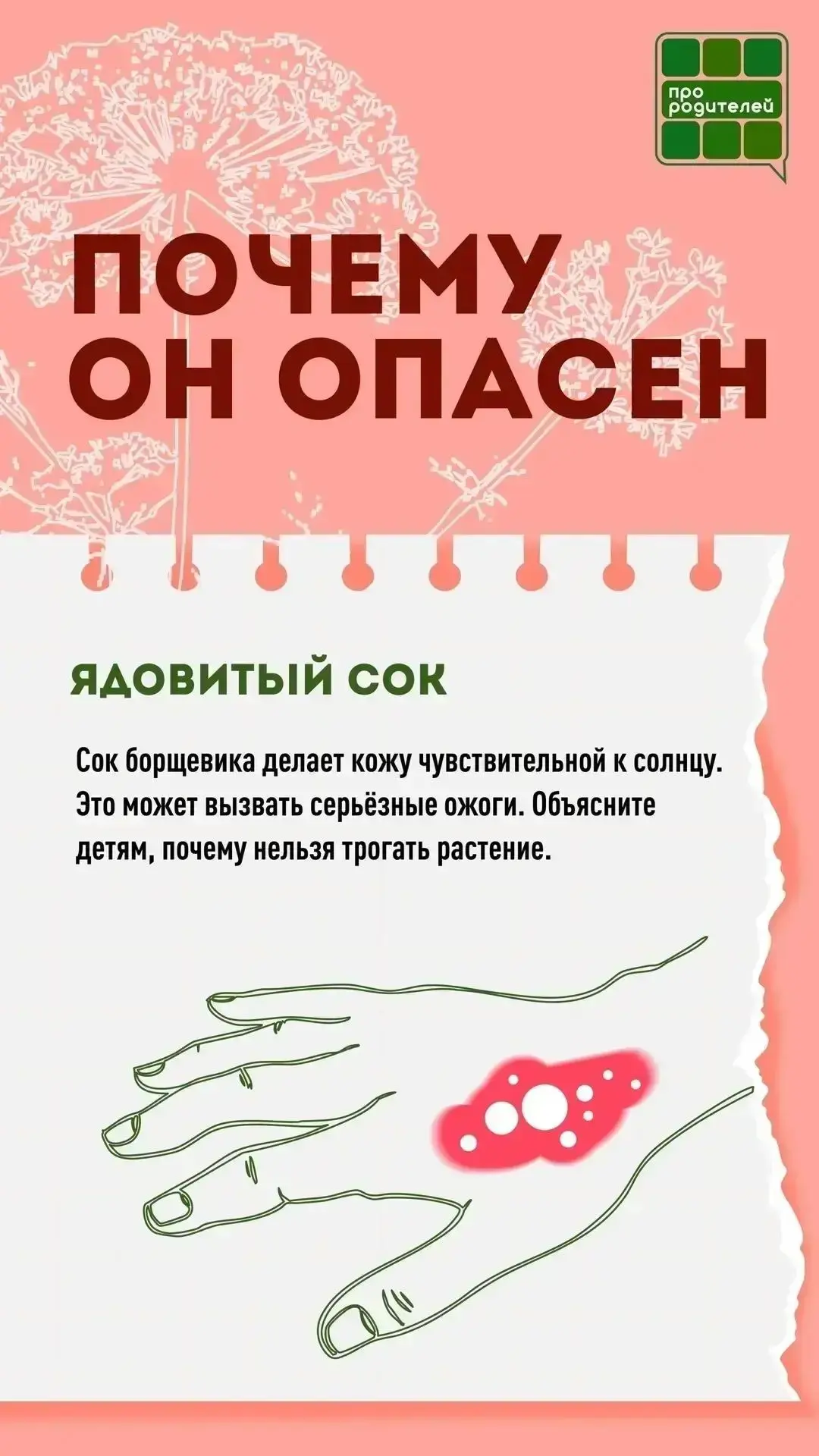 ❗️ Не обожгись: главные правила безопасности с борщевиком

 🏖 Лето — пора, когда дети чаще всего по
