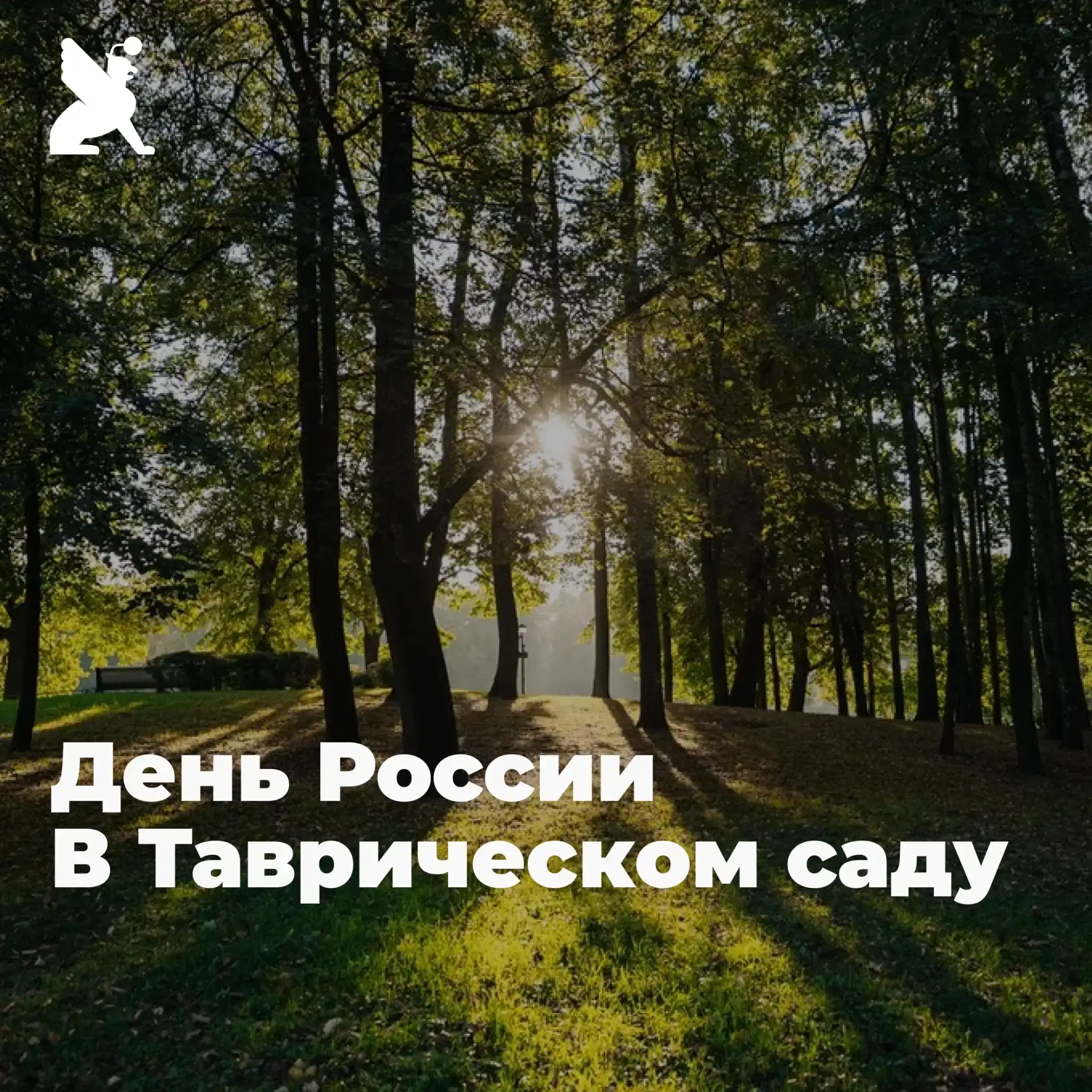 Накануне Дня России приглашаем жителей и гостей Центрального района на праздничную программу в Таври