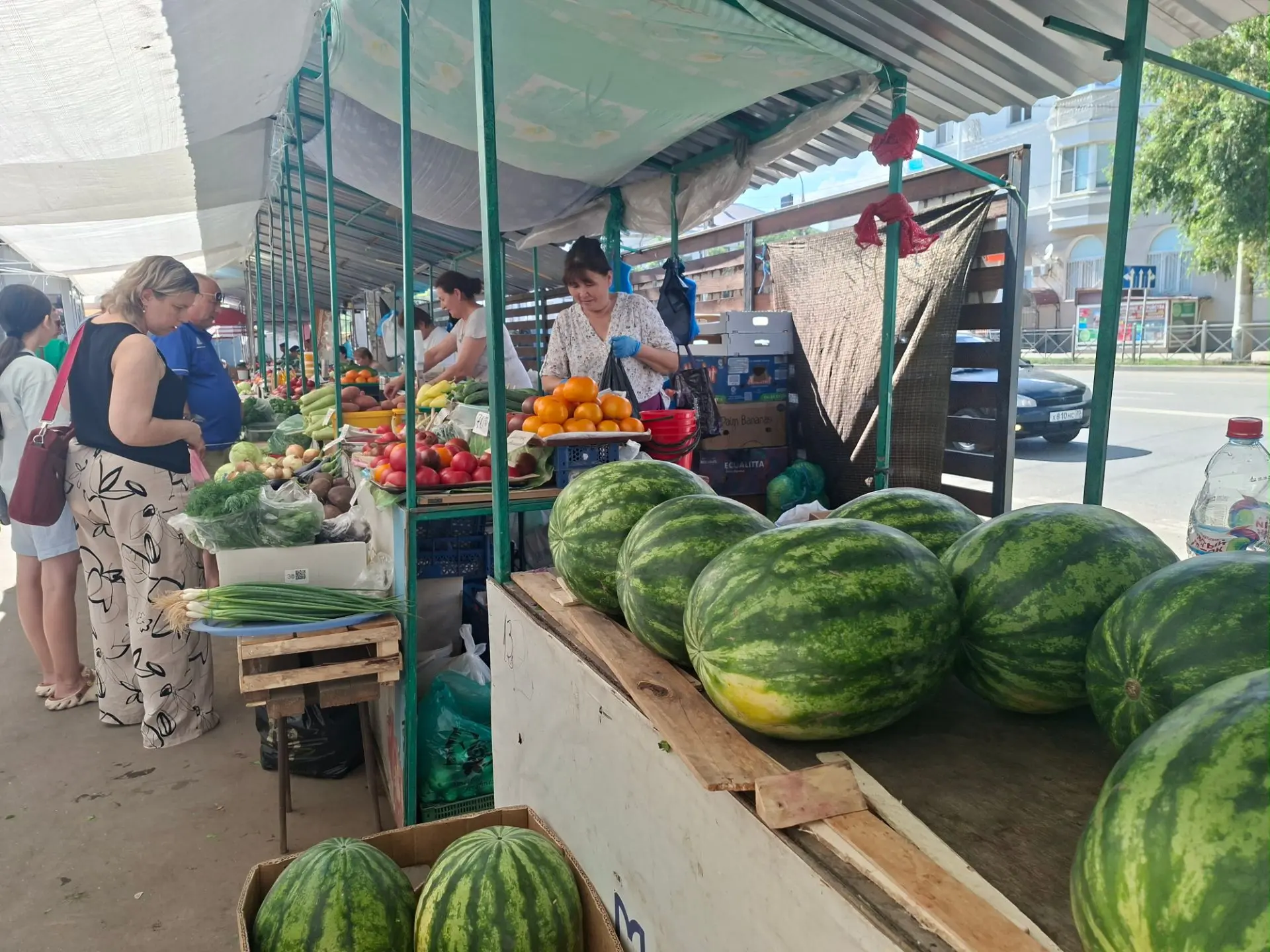 Местные арбузы уже пошли 100%. Цена 50 рублей за кг (плюс, минус). 🍉Уже есть арбузное ...
