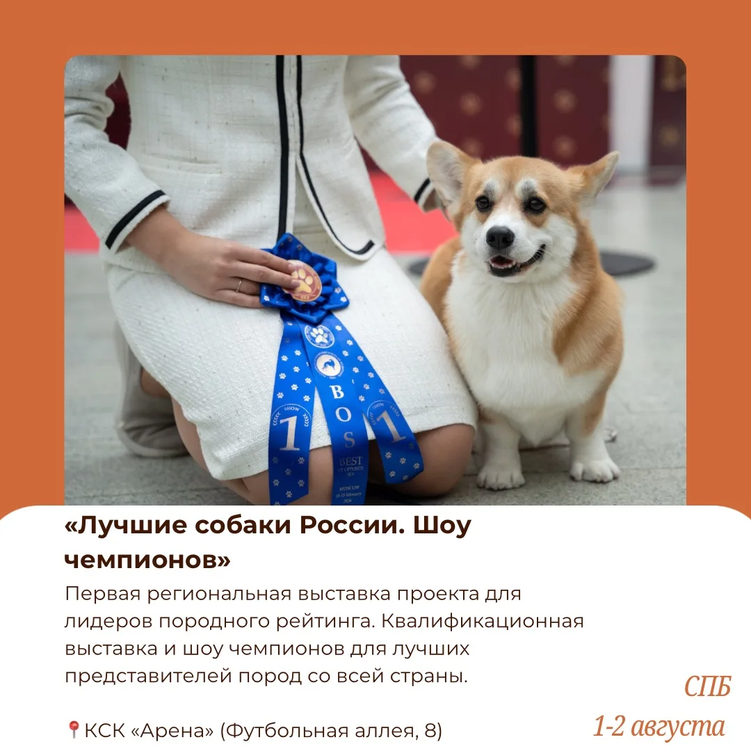 🐕‍🦺Выходные с питомцем: куда сходить 1–2 августа?

Собрали для вас все самое интересное, что будет