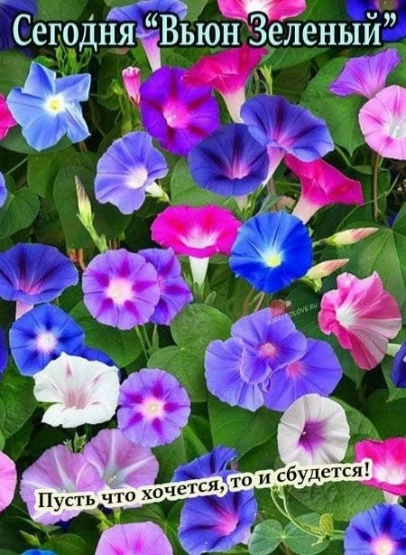 🎉 #праздник

Красивые открытки 💌
⠀в Max | в Теlegram