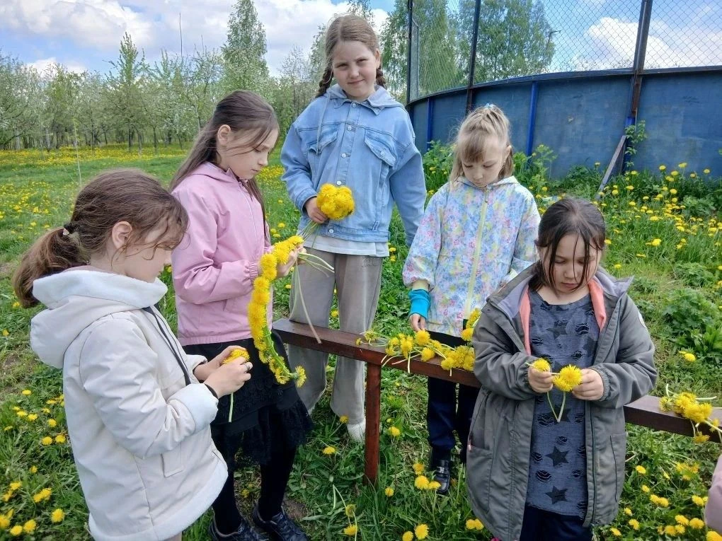 ✨ День одуванчика: море солнца и радости! ✨
