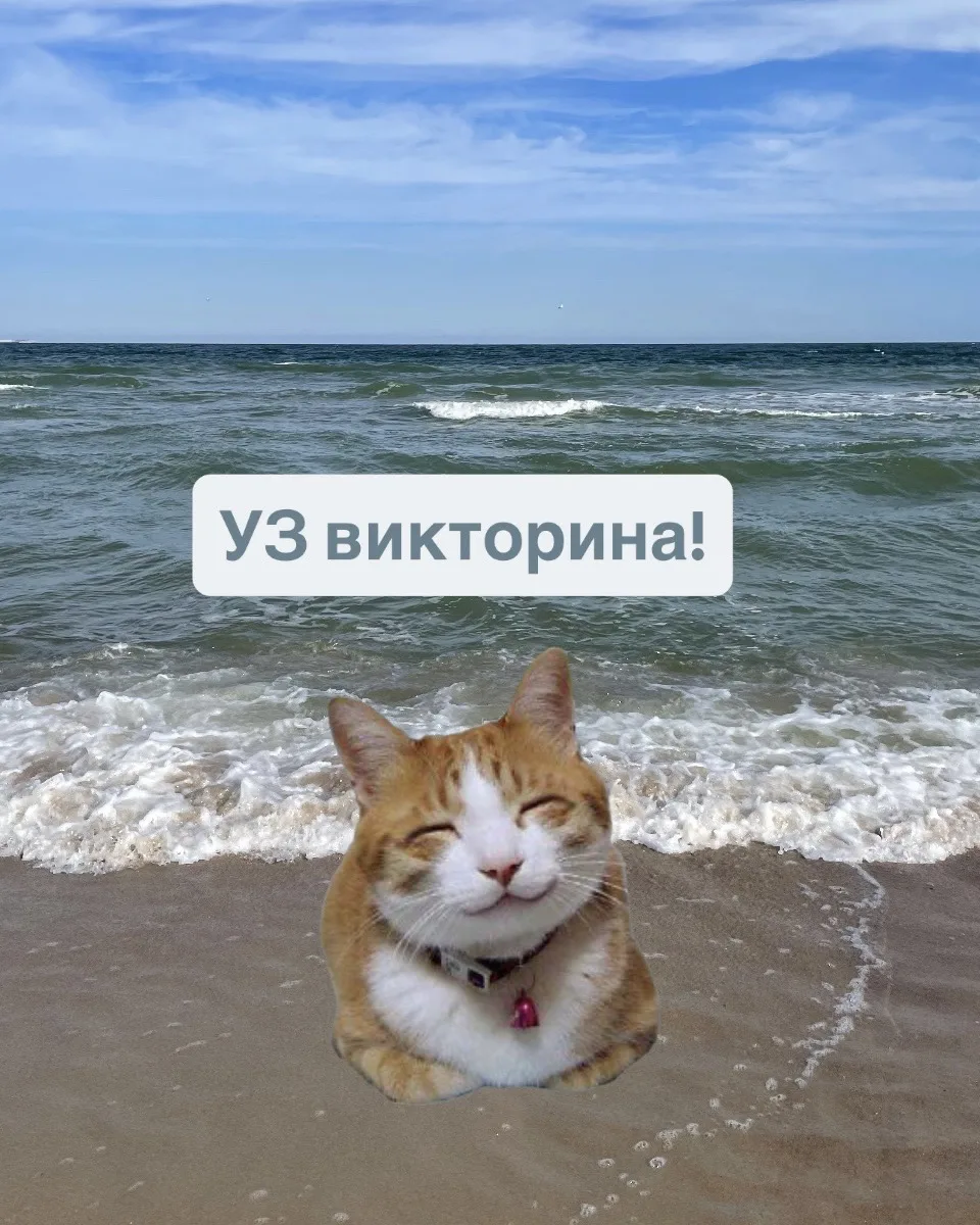 В ТГ выложена УЗ викторина

[контакт скрыт]