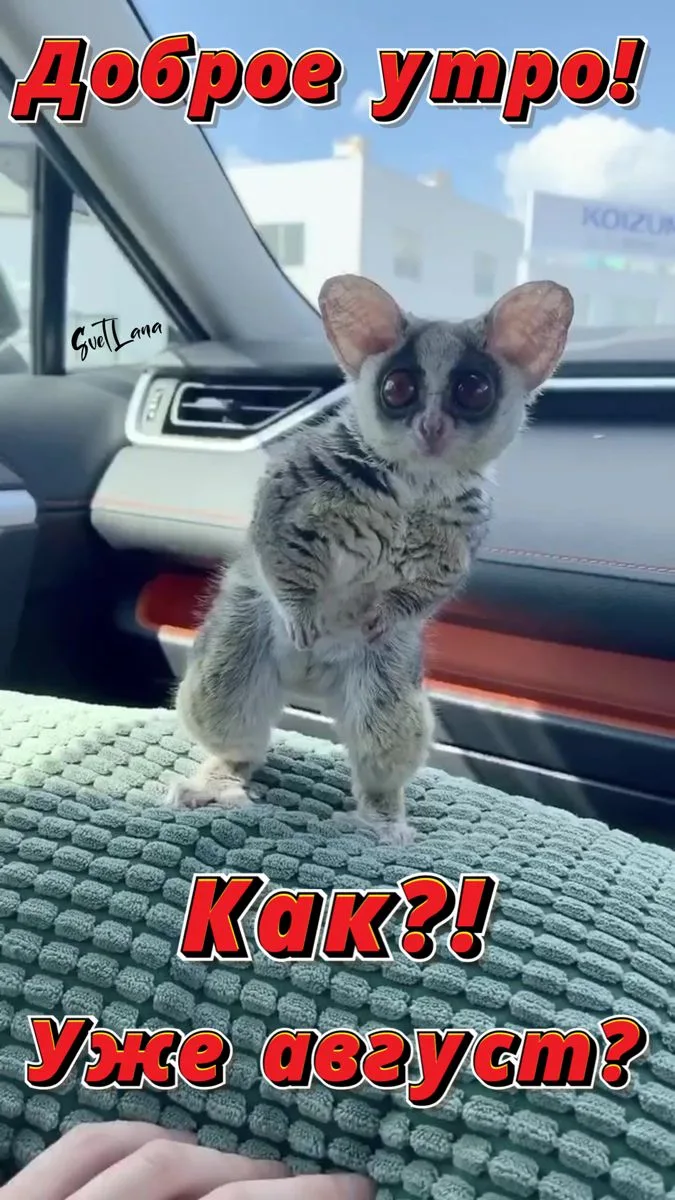лето продолжается, выходные начинаются 🥰☺️