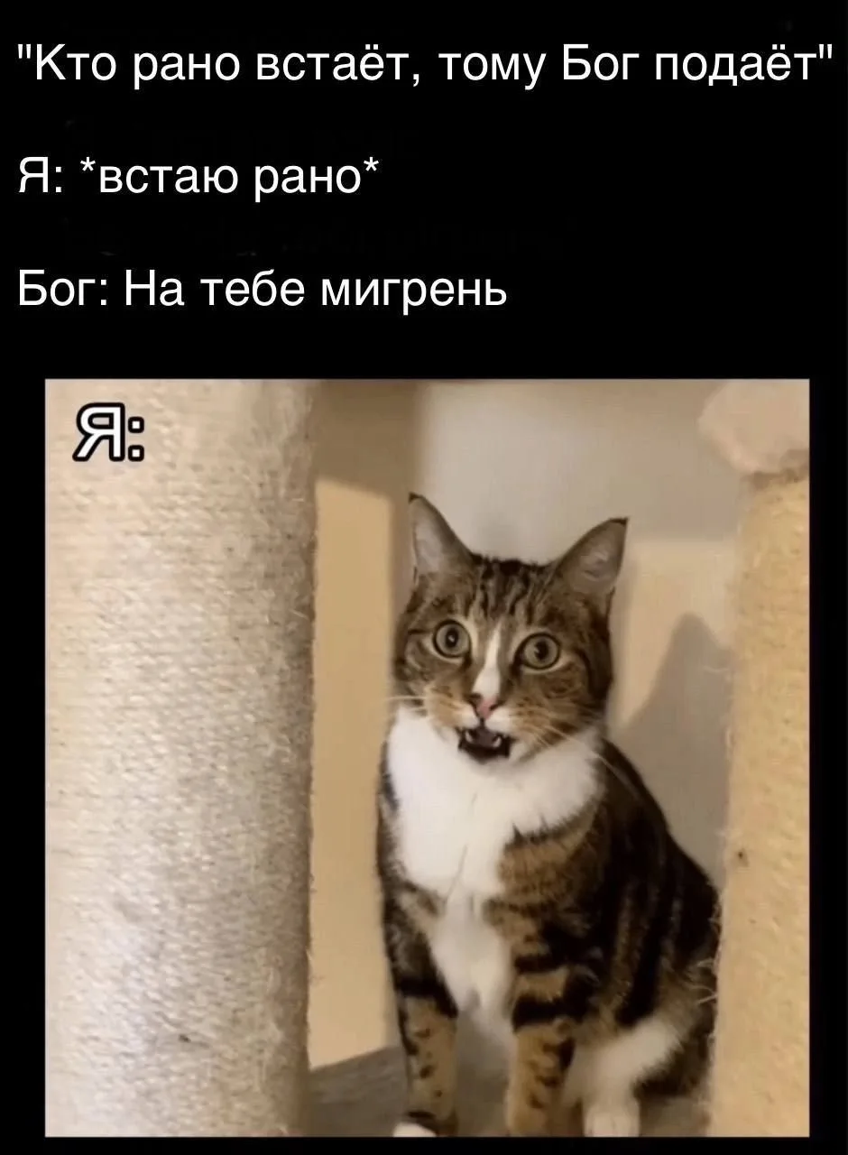 Ой жиза 🫠