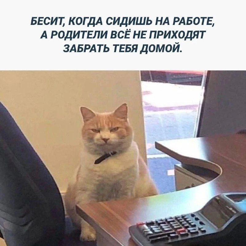 Почему-то работать летом, ощущается неприятно.
Как будто заставляют учиться на каникулах🫠