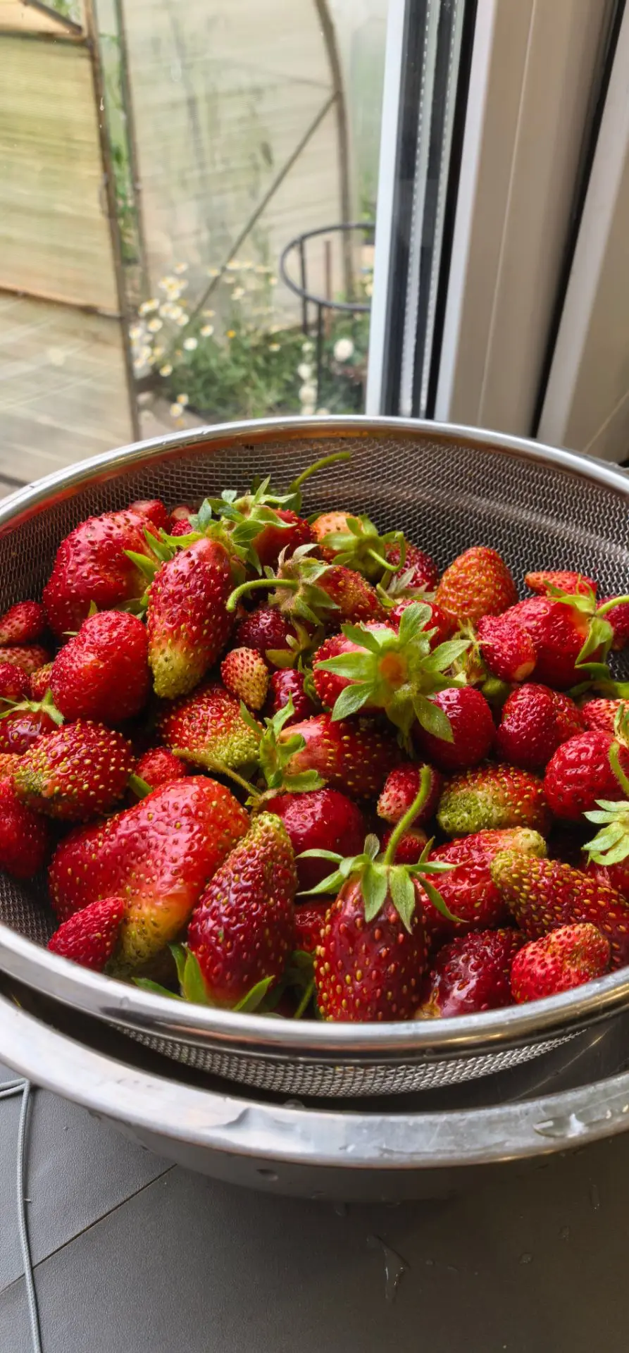 Как я ждала тебя, клубника 🍓 😍 с огорода. А вы любите клубнику? 🍓