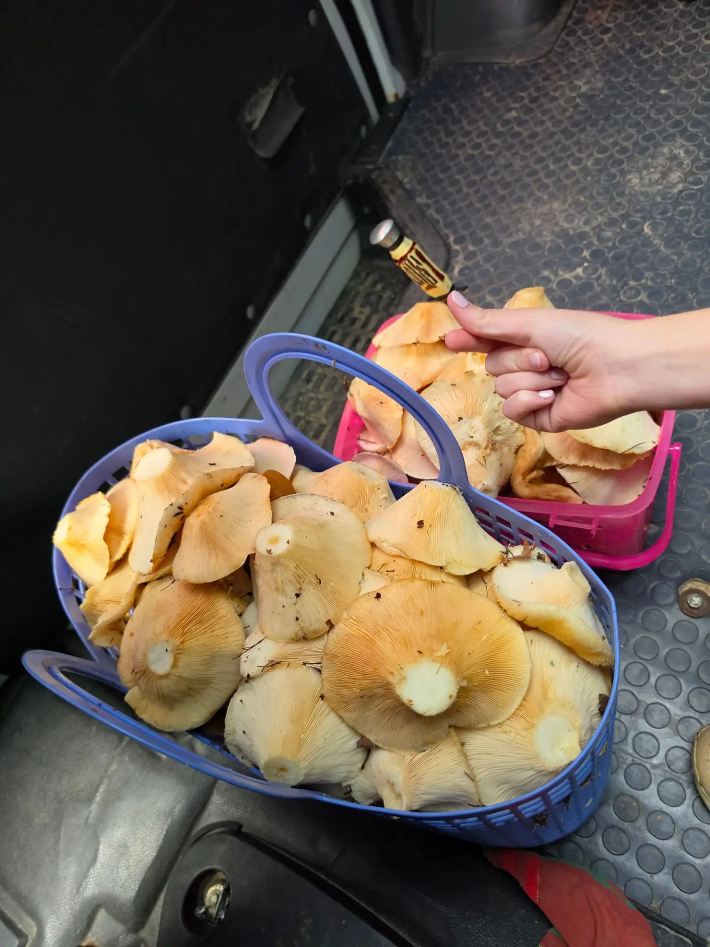 Полчаса.