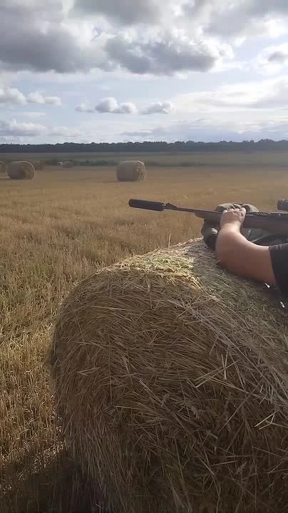 Всем привет! Приглашаю в нашу группу Дтк Псков. Наши цены на Дтк от 10 до 14 тысяч. Вое...