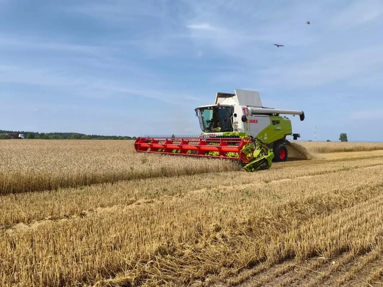 🌾 Уборочная кампания в Чистопольском районе набирает обороты!