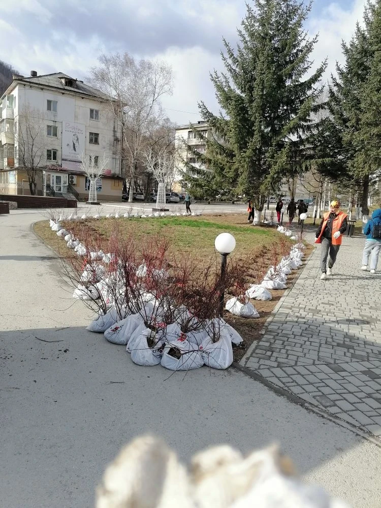 В сквере у скульптуры «Женщина с ребенком» началась высадка многолетников  Участок озеленения «Обслу
