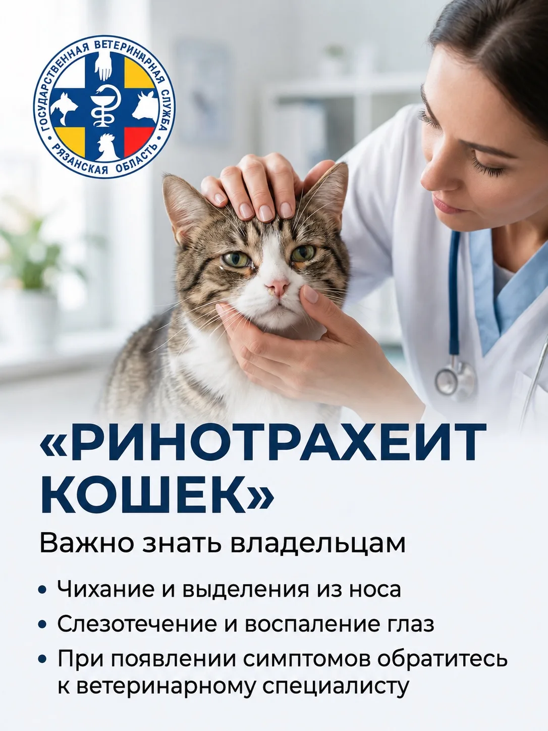 ❗Ринотрахеит (ринит-трахеит) у кошек — это острое вирусное заболевание, характеризующее...