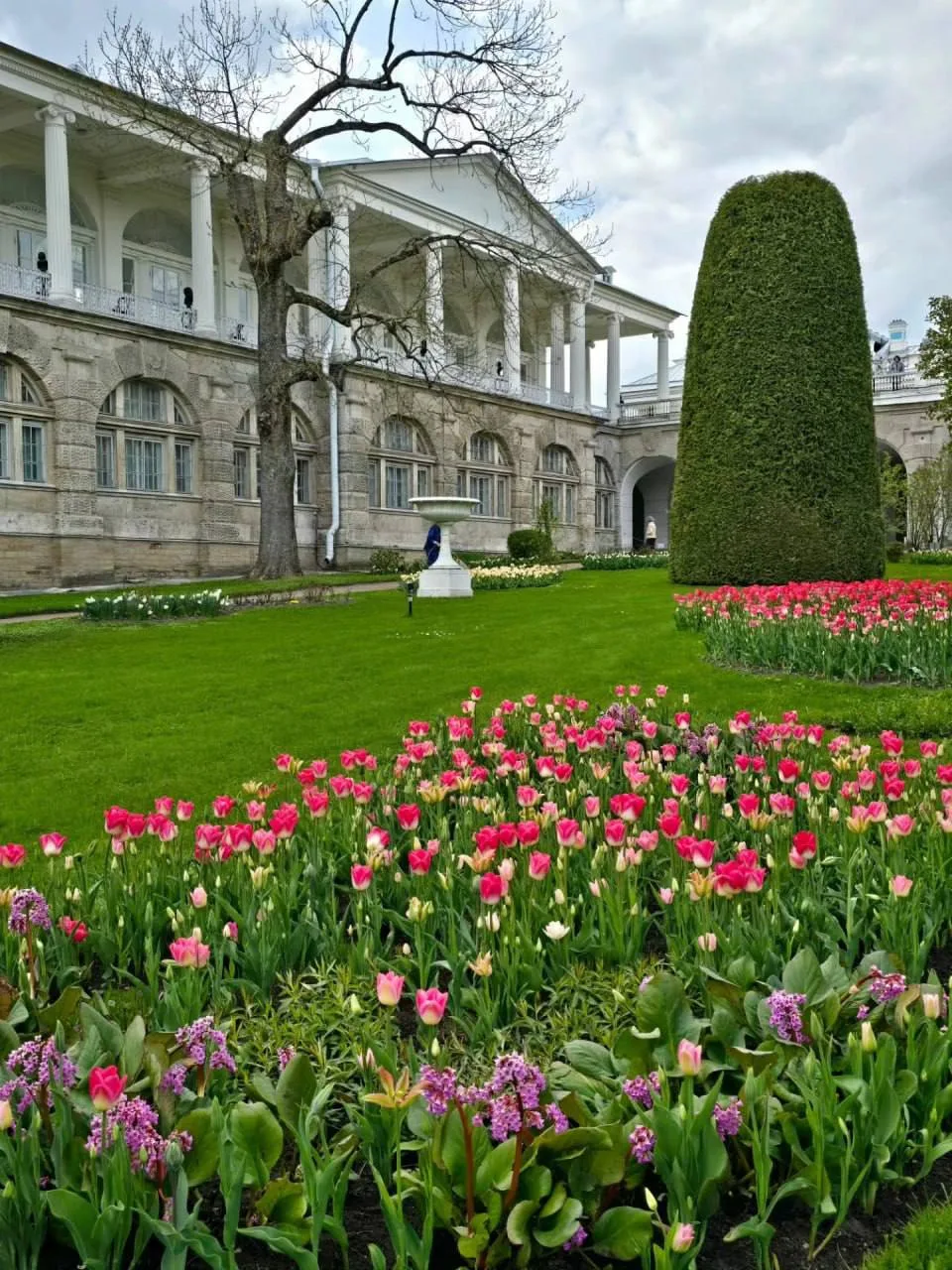 🌷 Екатерининский парк расцвёл пёстрыми тюльпанами  Яркие клумбы превратили его в настоящую весеннюю 