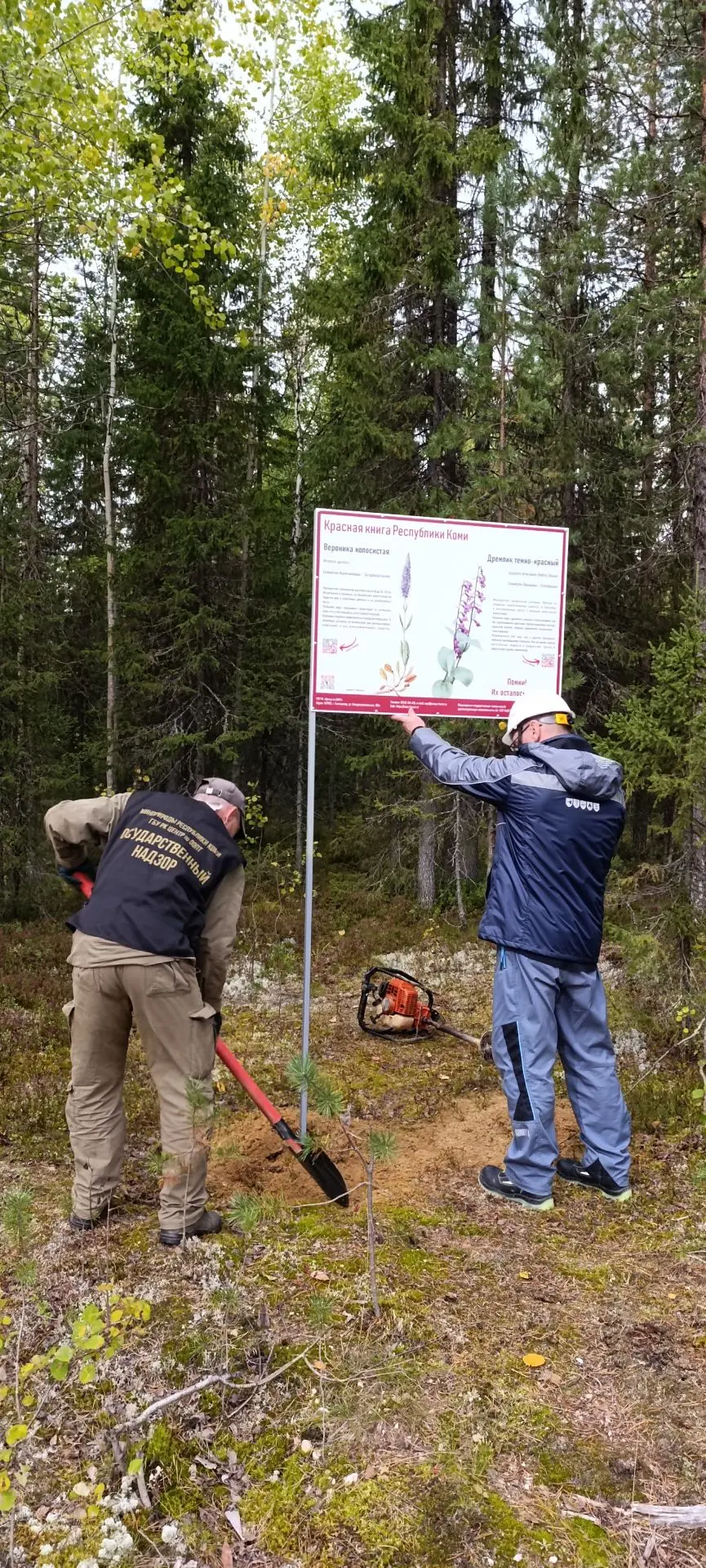 🙌Хрупкая красота под защитой: в заказнике «Скалы Каменки» появились аншлаги о редких р...