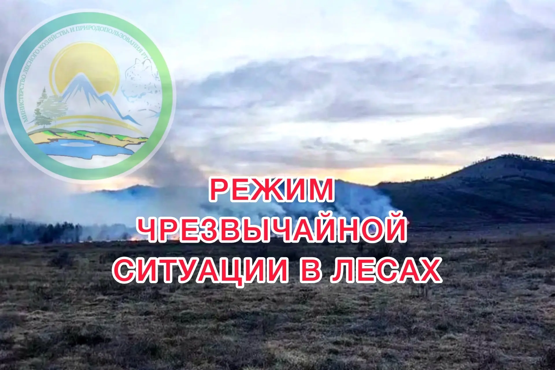 Напомним!