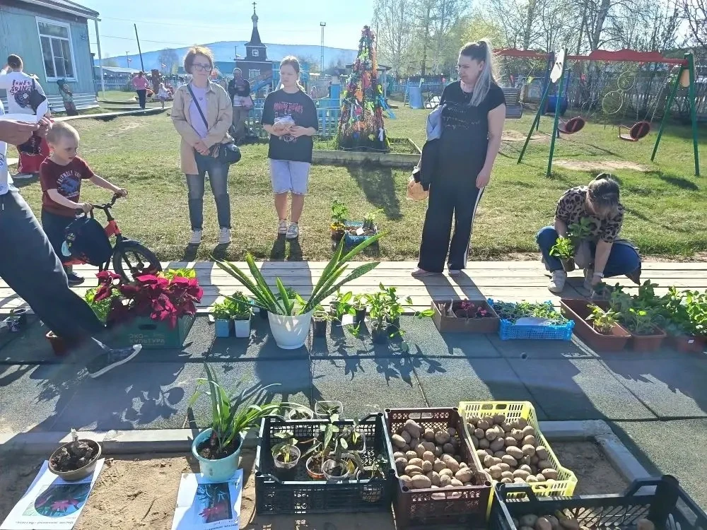 🌿✨ 20.05.2026— день добра, уюта и чудес в нашем саду! ✨🌿