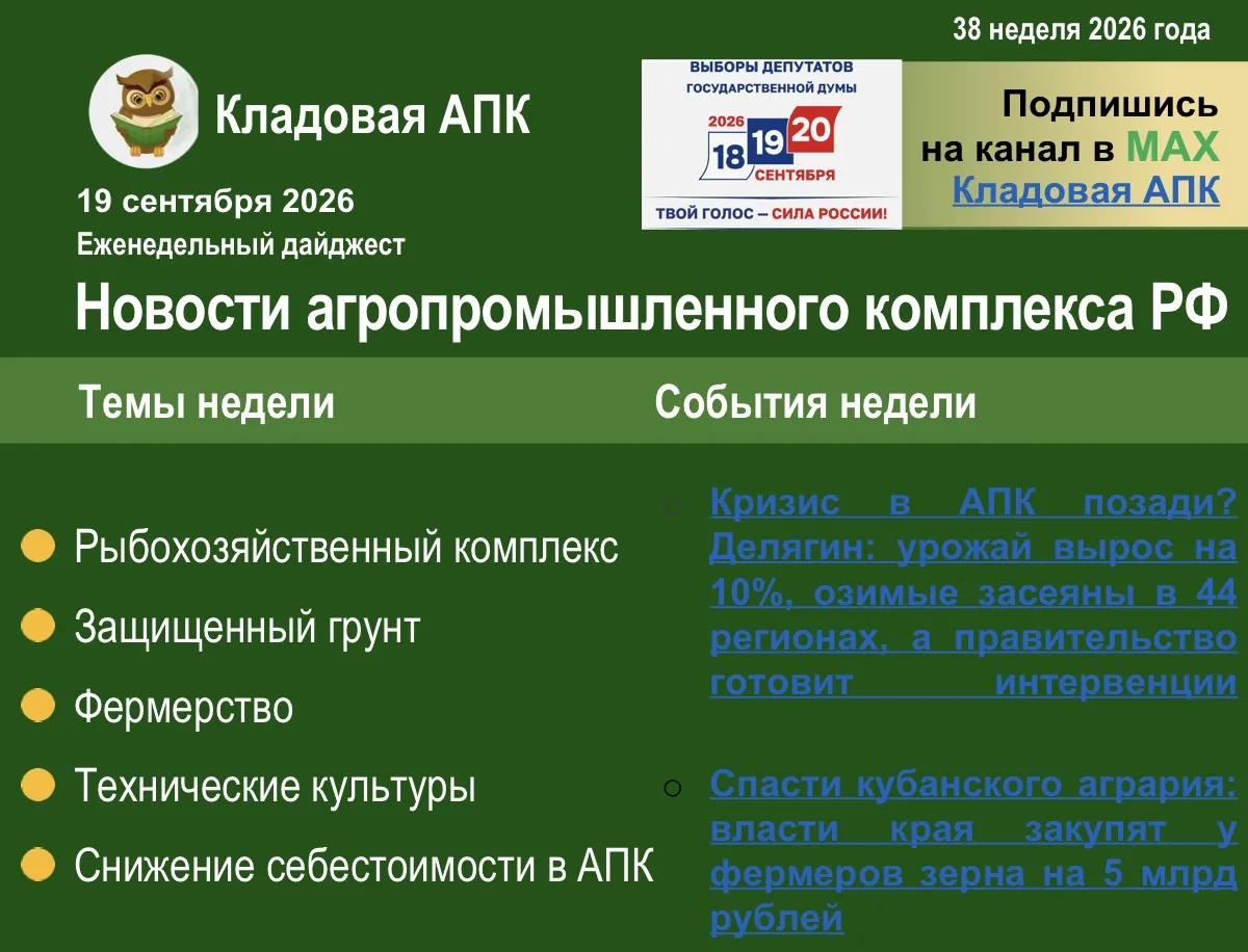☀️ Еженедельный дайджест: