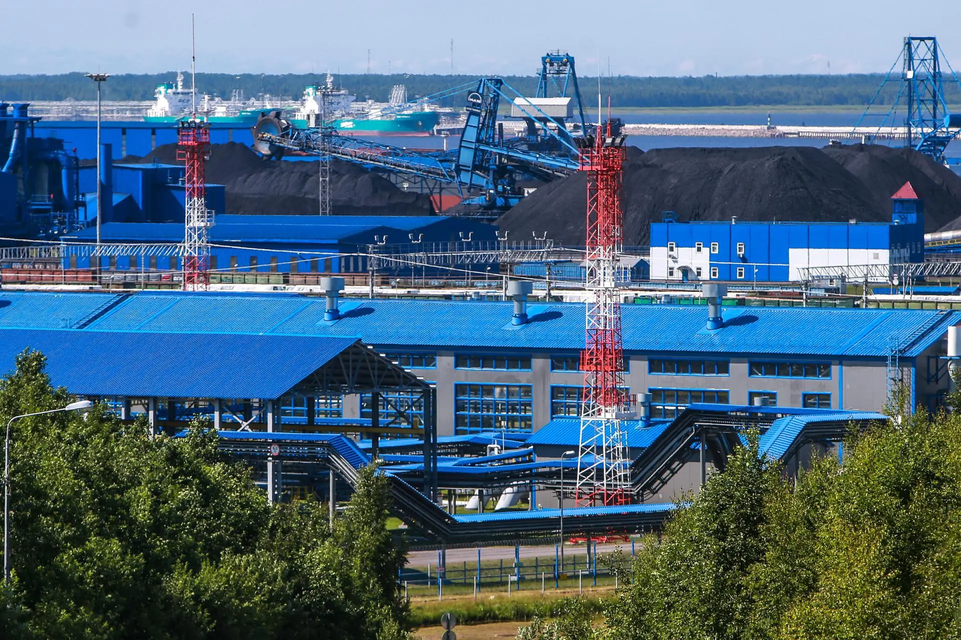 Особая экономическая зона "Усть-Луга" появится в Ленобласти к 2033 году, сообщили в пре...