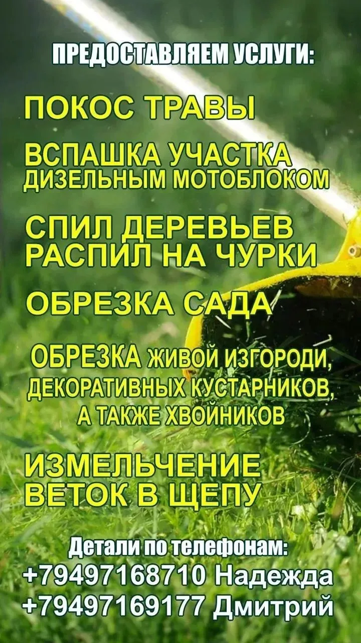 Предоставляем услуги: