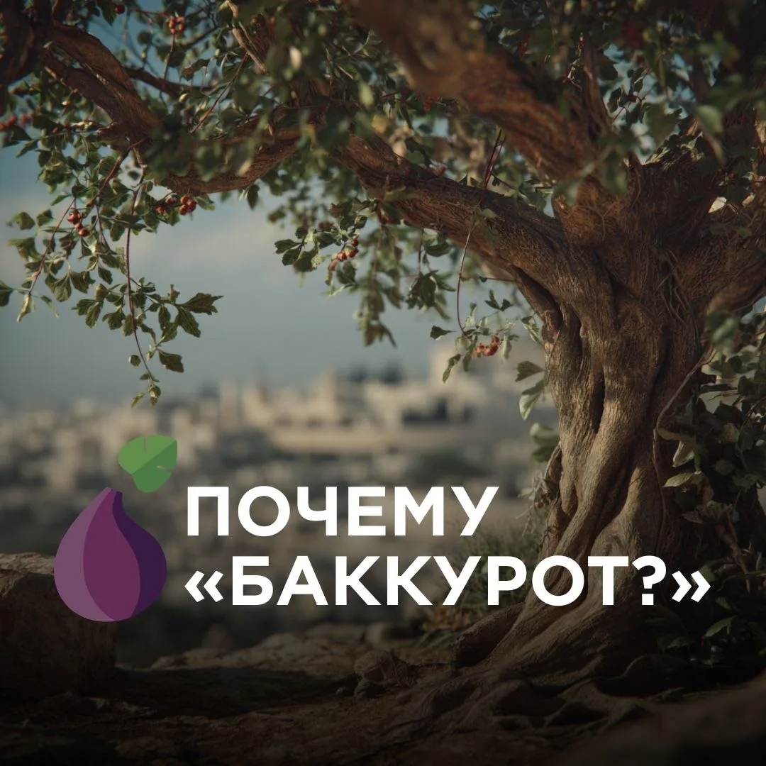 🤔На одной из первых встреч нашей команды прозвучал вопрос: «А что такое баккурот?» Объясняем смысл н
