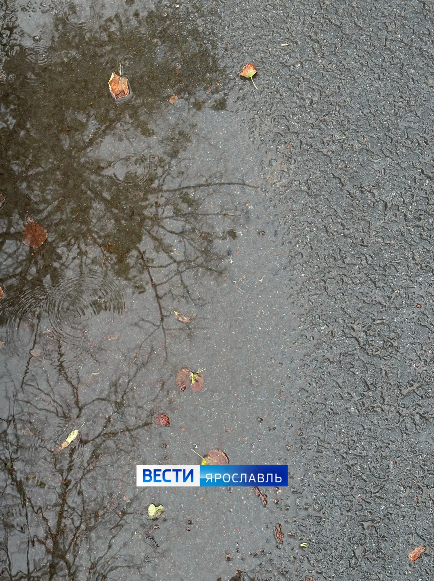 🌦️💦 Последняя неделя июля в Ярославской области будет дождливой

☔️ Накануне город накрыл мощный л