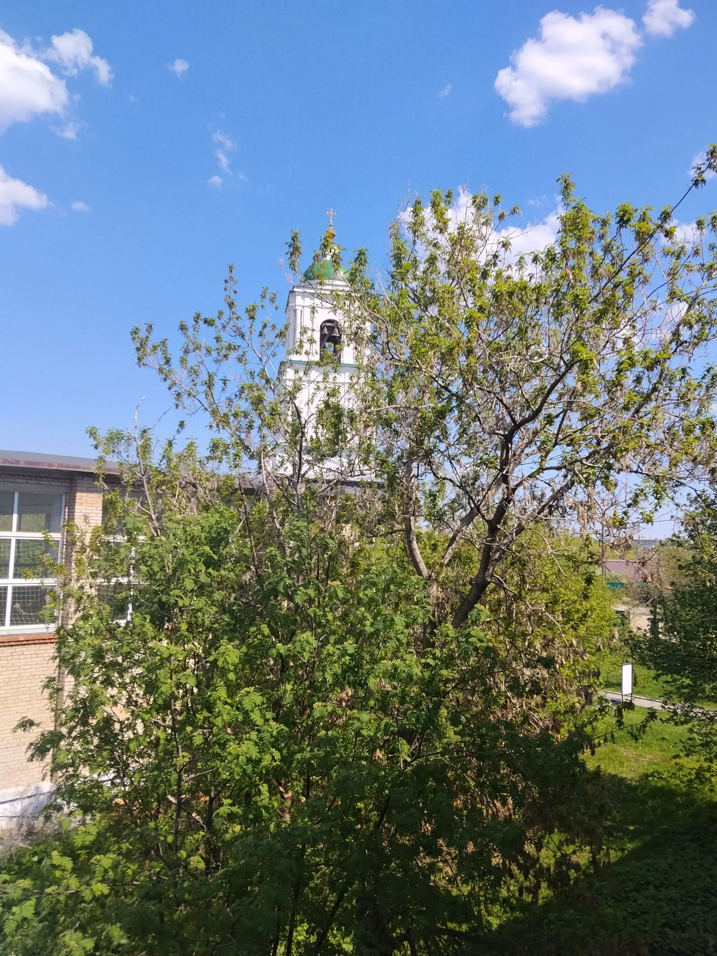 Гехт Дарья, 6 "а" класс 
участвует в фотоконкурсе "Моё лето".