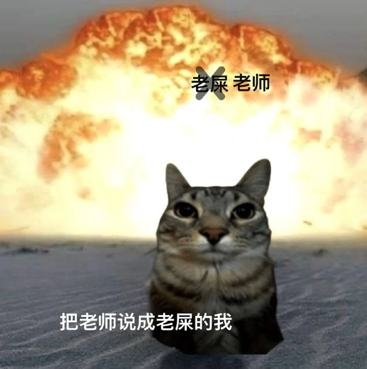 Это случайно! (или нет 😏)