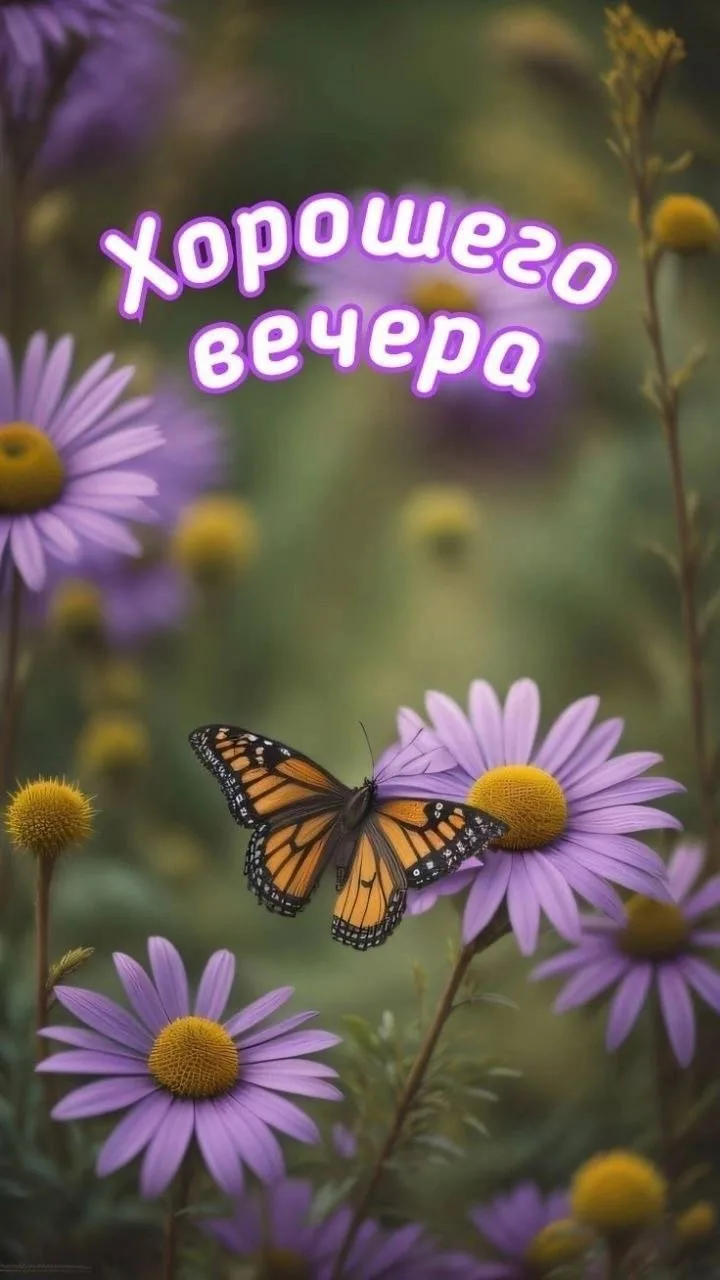 КРАСИВЫЕ ОТКРЫТКИ ТУТ💖