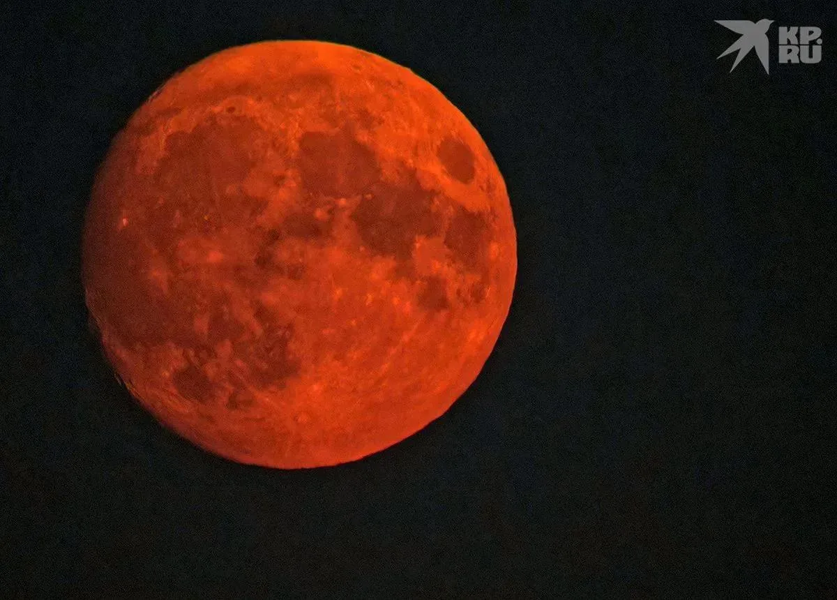 🌖 Небо над Центральной Россией озарила Оленья Луна

@kursk_info46

https://vk.com/kursk_info46